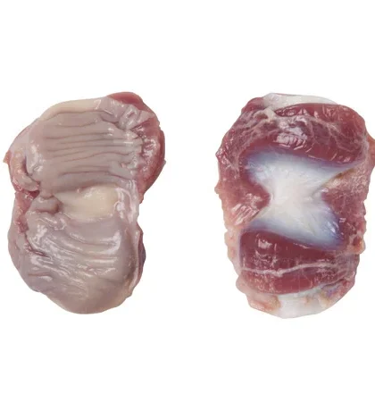 Chicken Gizzards