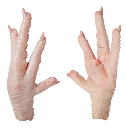 Chicken Paws