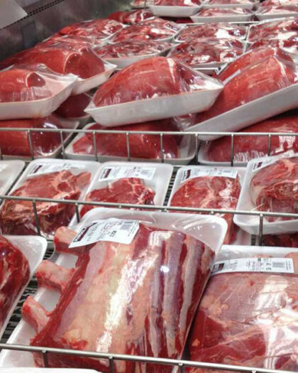 Halal Buffalo Boneless Frozen Meat